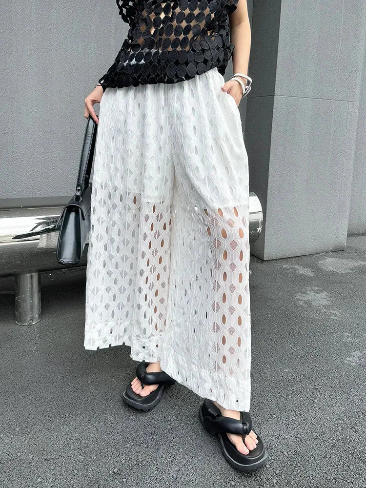 Urban Style Wide-Leg Net Trousers