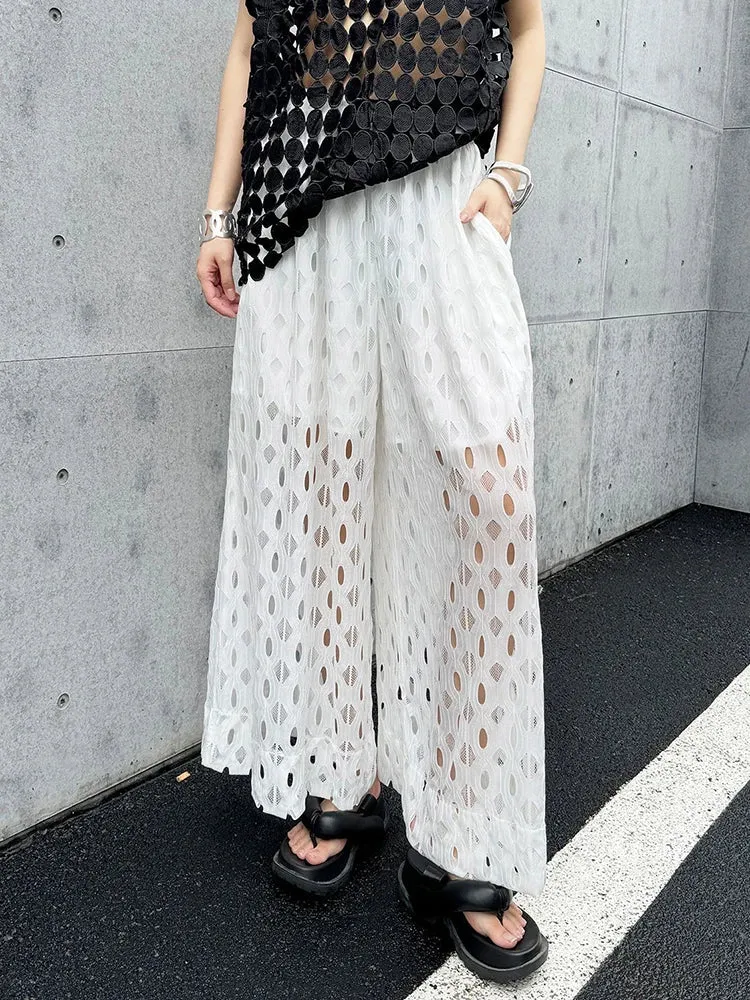 Urban Style Wide-Leg Net Trousers