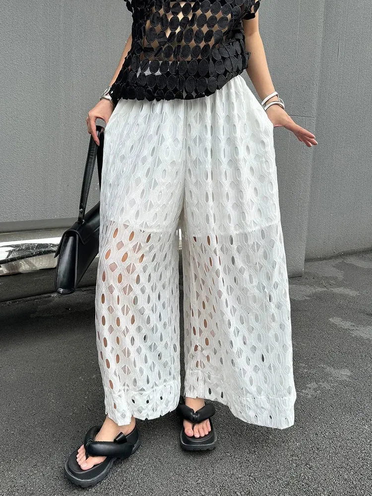 Urban Style Wide-Leg Net Trousers